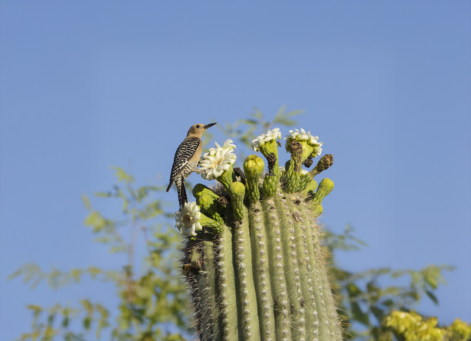 iStock-178448729 - expanded