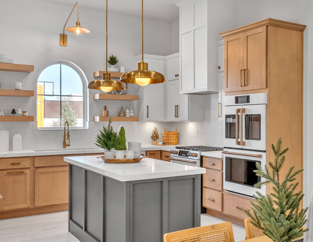 PaloVerde_VERDANCIA_PIC 12